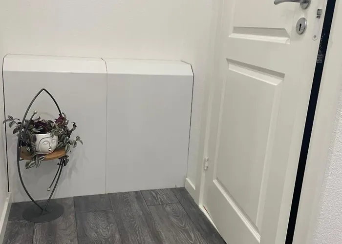 Private In Center Of Проживание в семье *