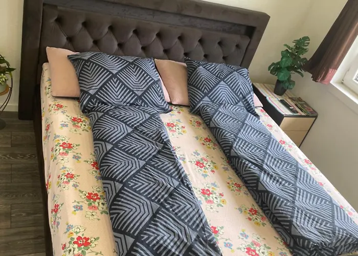 Проживание в семье Private In Center Of